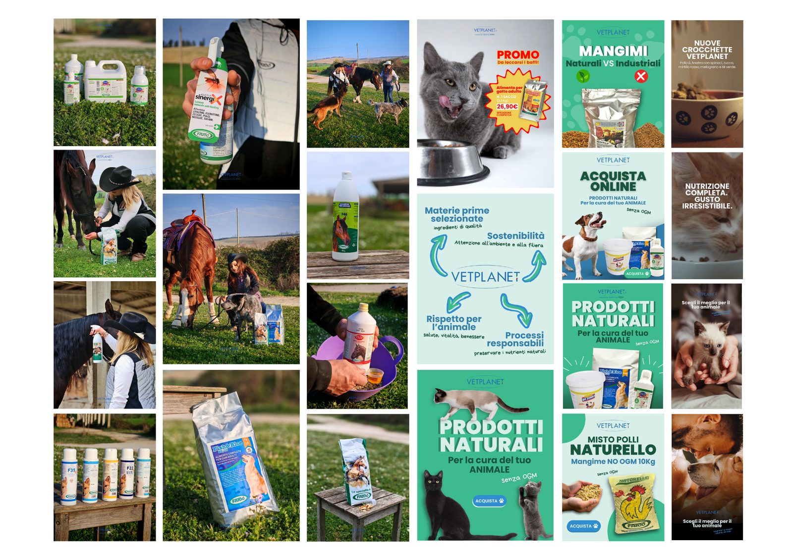 Vetplanet — le creatività per i canali digitali e l’e-commerce