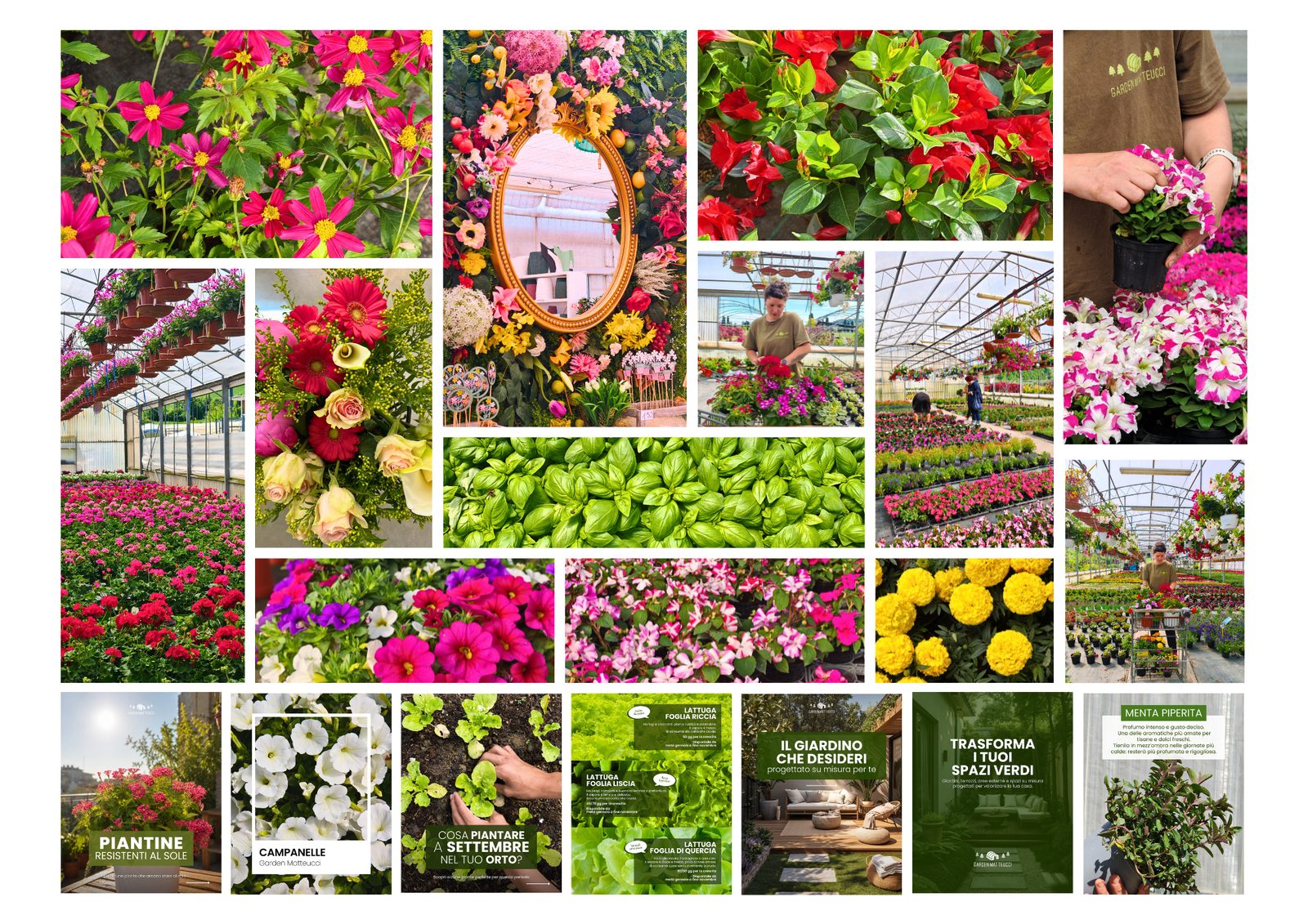 Garden Matteucci — i contenuti realizzati per il garden center